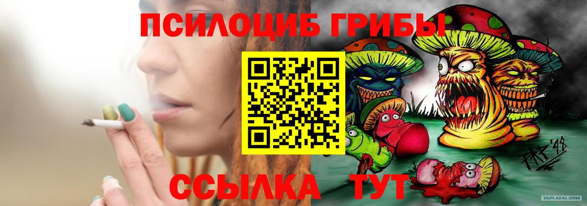 Галлюциногенные грибы Psilocybine cubensis  Вход с VPN  Десногорск 
